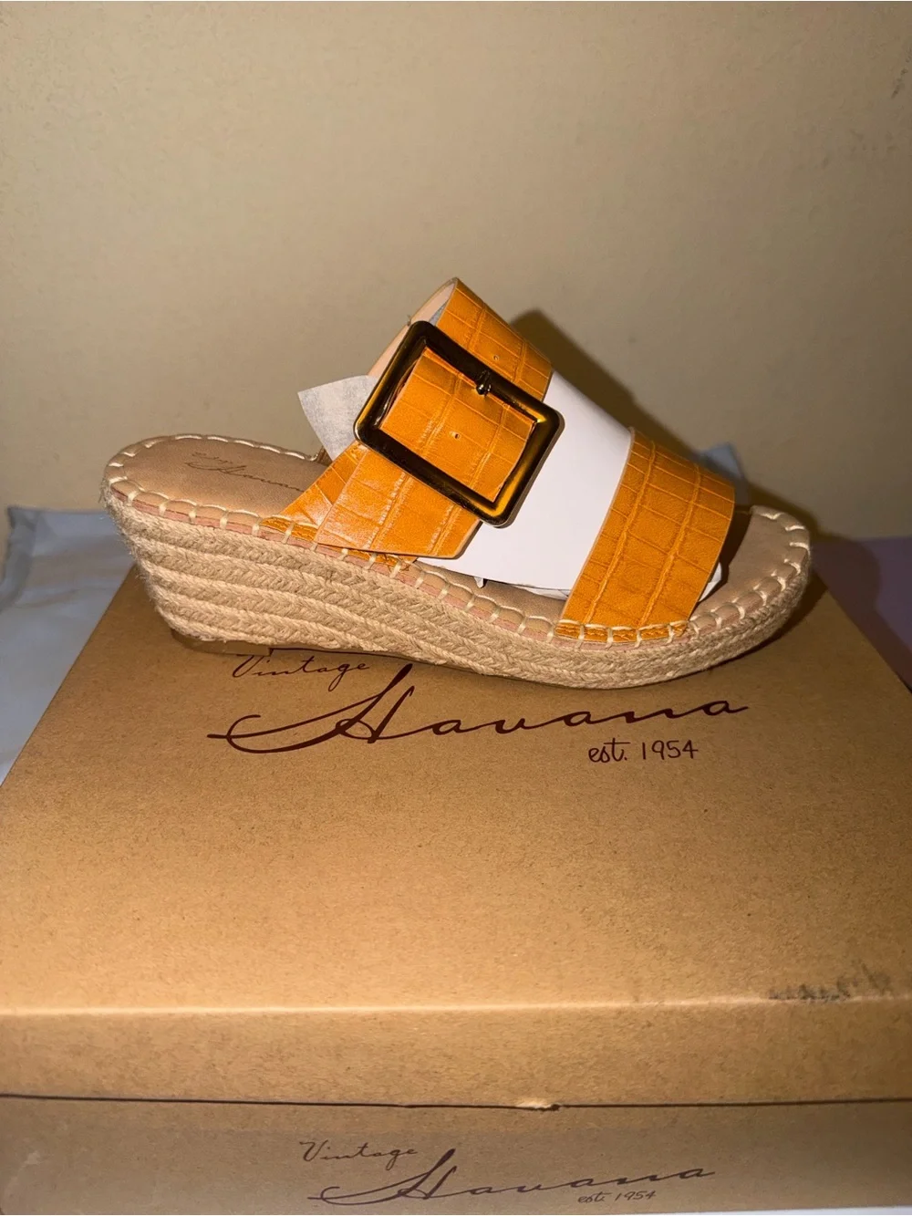 Vintage Havana croc embossed